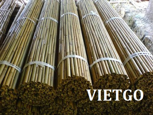 Cơ hội xuất khẩu 1 container gậy tre sang Thổ Nhĩ Kỳ