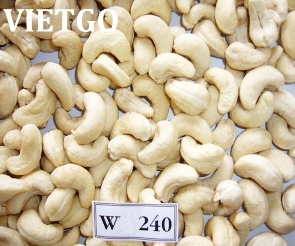 Cơ hội xuất khẩu 1000 tấn điều nhân thô sang Ấn Độ