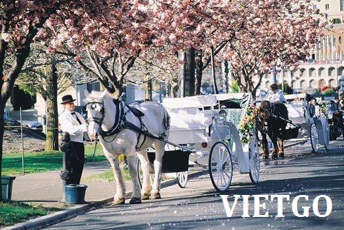 Cơ hội xuất khẩu 5 tấn tôm sú sang Canada