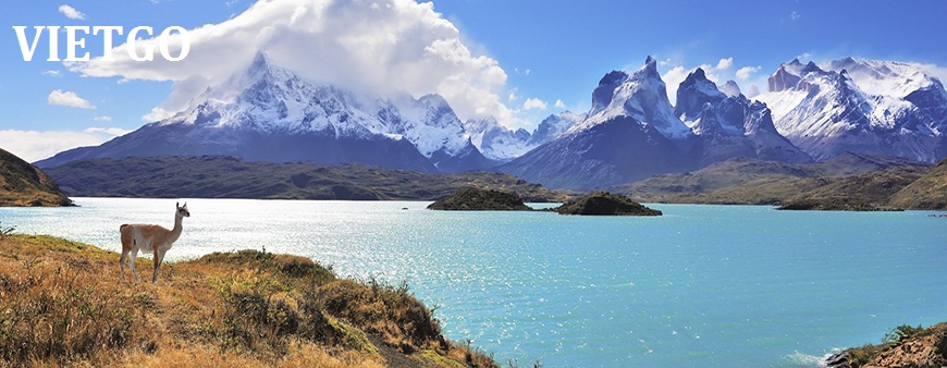 Cơ hội xuất khẩu 25 tấn tôm sang Chile