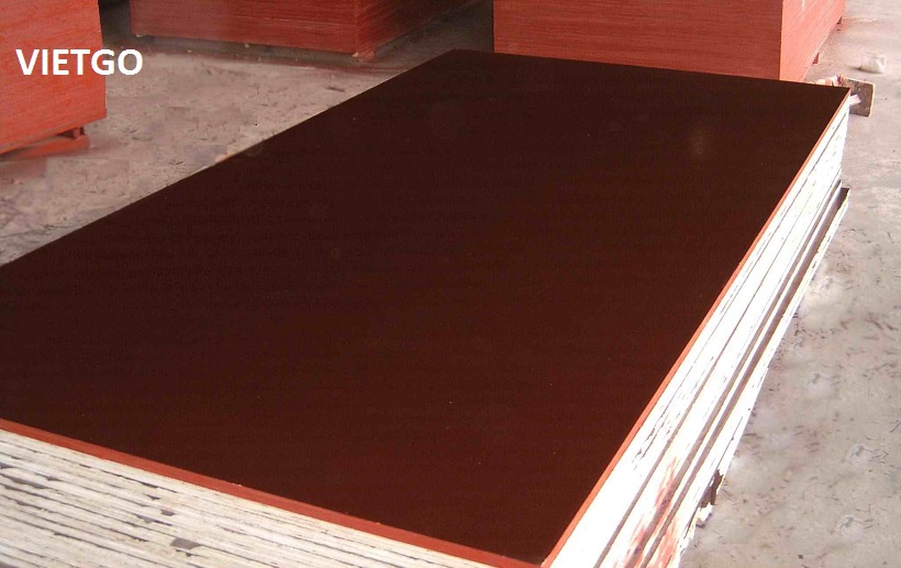 Đối tác người Ấn Độ đang tìm kiếm nhà cung cấp gỗ dán phủ phim
