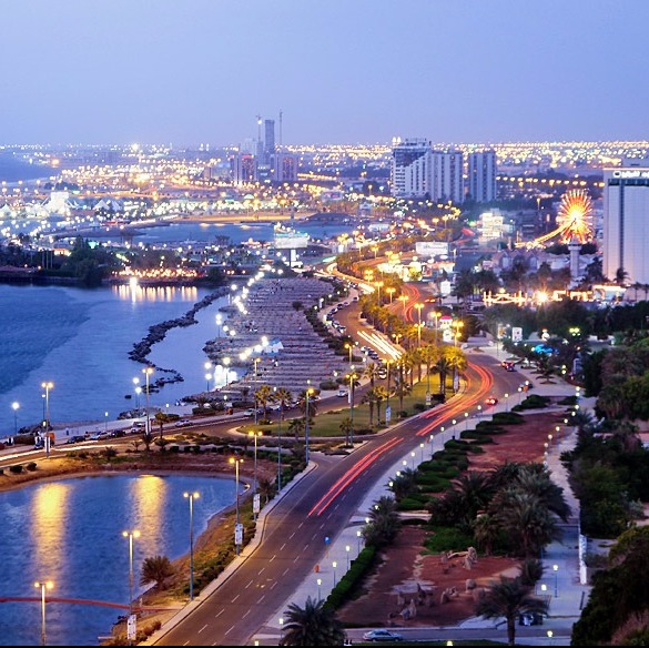 Thương nhân Ả Rập Saudi cần tìm thêm nhà cung cấp than mùn cưa