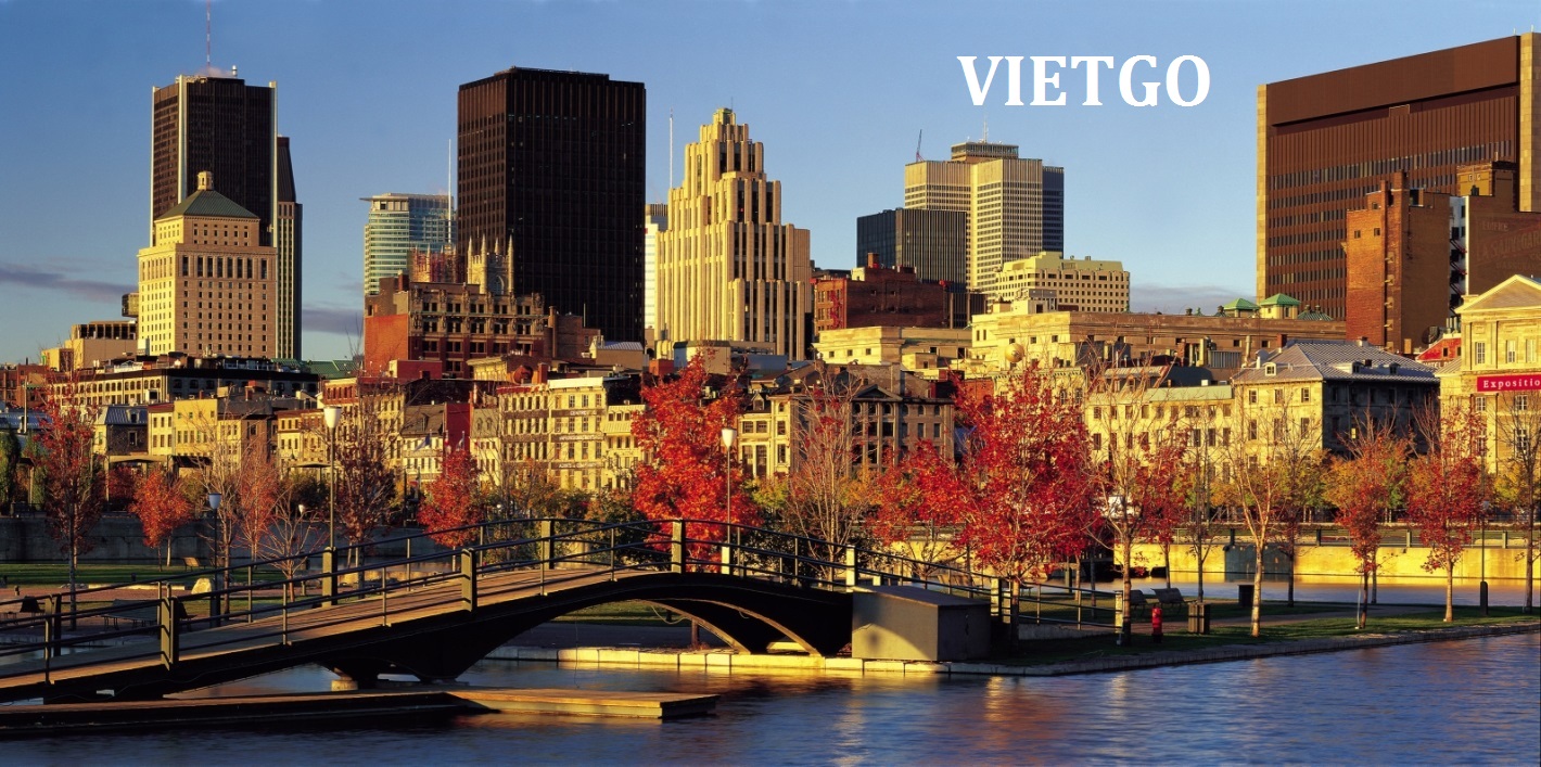 Cơ hội xuất khẩu 150.000 gậy tre sang Canada