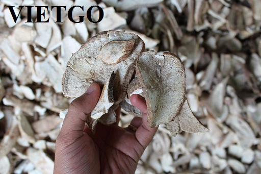 Cơ hội xuất khẩu 30.000-50.000 tấn sắn lát sang Trung Quốc