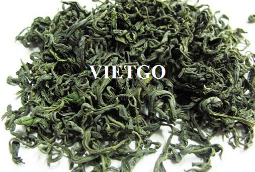 Cơ hội xuất khẩu 1 container 20ft chè xanh OP và OPA sang Bulgaria