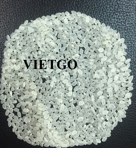 Thương nhân Thổ Nhĩ Kỳ cần tìm nguồn cung cấp 600 tấn gạo Japonica