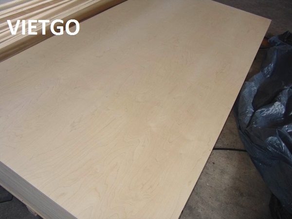 Cơ hội xuất khẩu 10 – 20 container 40HC gỗ dán mỗi tuần sang Hoa Kỳ