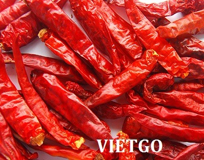 Thương nhân đến từ Senegal cần nhập khẩu 1 container 40ft ớt khô