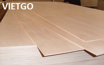Đối tác người Đài Loan đang cần nhập khẩu từ 2 đến 3 container 40ft gỗ dán mỗi tháng