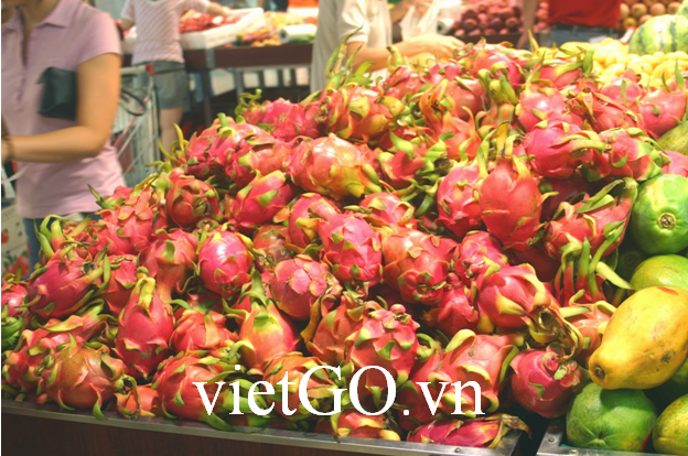 Thương nhân từ Trung Quốc cần tìm kiếm nhà cung cấp 10 tấn thanh long tươi
