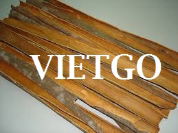 Cơ hội xuất khẩu 40 tấn quế chẻ sang Thổ Nhĩ Kỳ