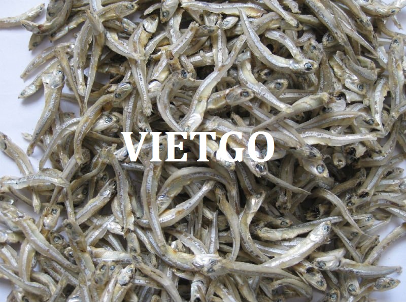 Đối tác đến từ Malaysia đang có nhu cầu mua 1 container 40ft cá cơm và cá thu