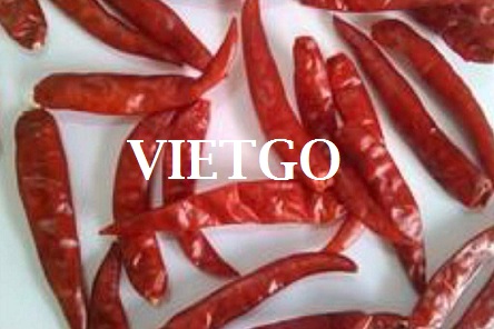 Cơ hội xuất khẩu 1 container 20ft ớt khô sang Maldives