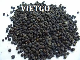 Cơ hội xuất khẩu 1 container 20ft hạt tiêu đen sang Yemeni