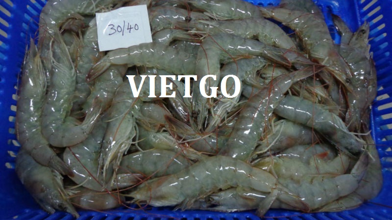 Một khách hàng đang có nhu cầu mua tôm thẻ chân trắng xuất khẩu sang Hà Lan