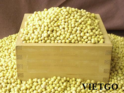 Thương nhân người Mỹ cần tìm nguồn cung cho 1.837 tấn đậu nành hữu cơ