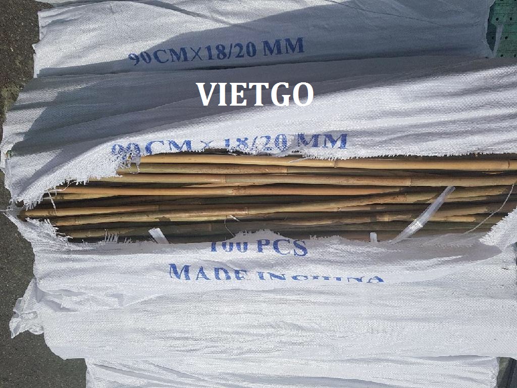 Khách hàng Hàn Quốc đang có nhu cầu nhập khẩu 10 container 40ft gậy tre hàng tháng