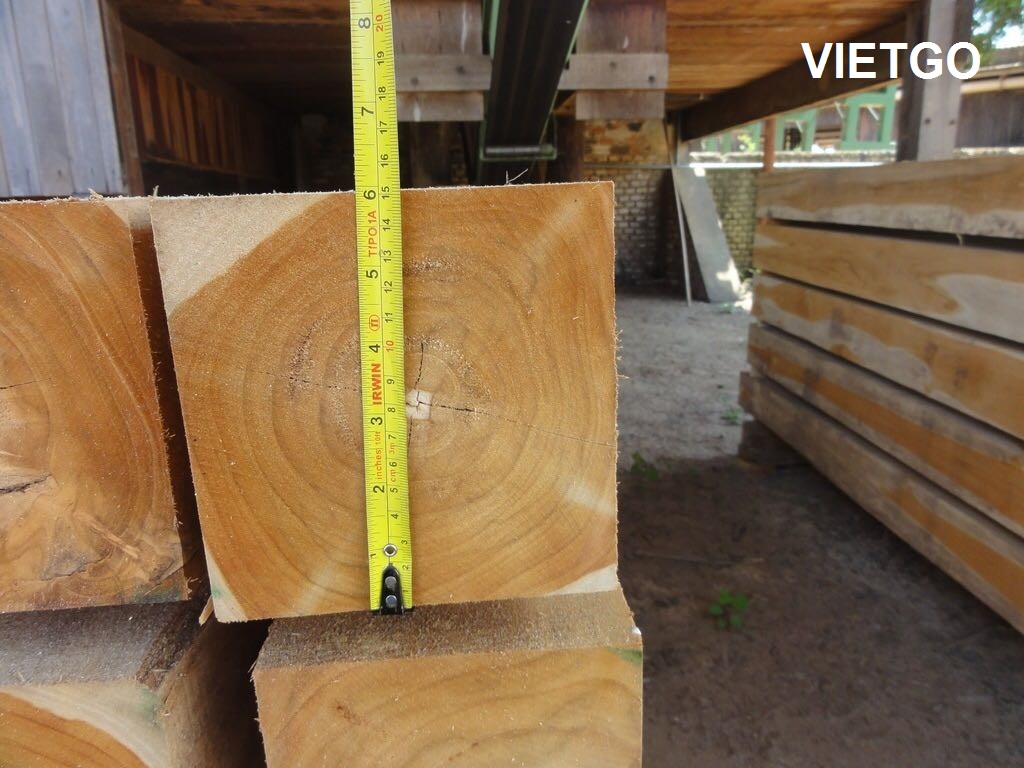 Thương nhân người Ấn Độ đang cần mua gỗ teak xẻ
