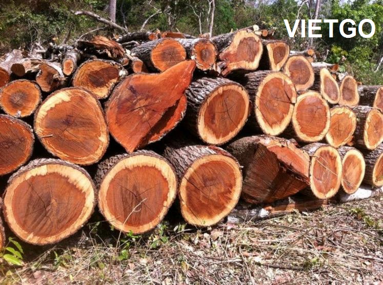 Cơ hội xuất khẩu gỗ hương tròn sang Ấn Độ