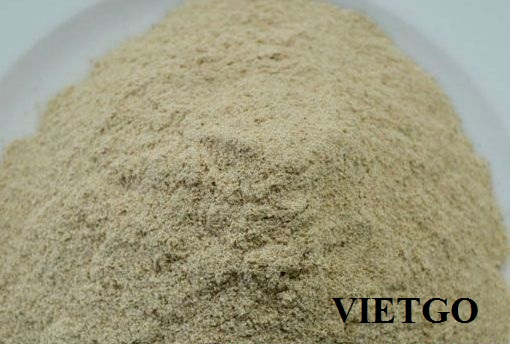 Nhà nhập khẩu đến từ Iraq cần mua 100 tấn bột bã sắn