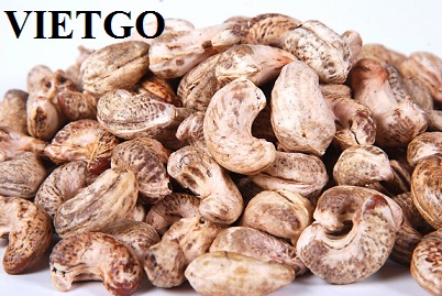 Cơ hội xuất khẩu 100 tấn hạt điều thô nguyên vỏ sang Ấn Độ
