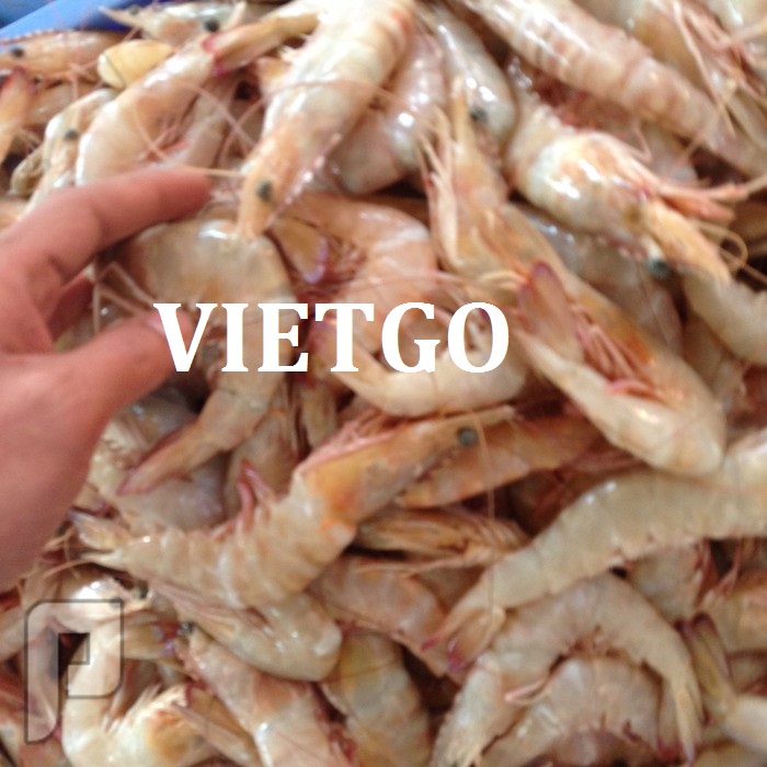 Cơ hội xuất khẩu tôm số lượng lớn sang Vương quốc Ả Rập thống nhất