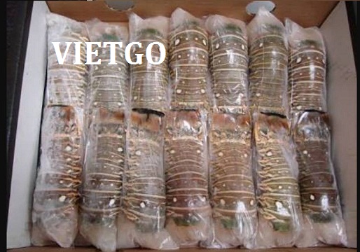 Cơ hội xuất khẩu 1 container 20ft tôm hùm sang Úc