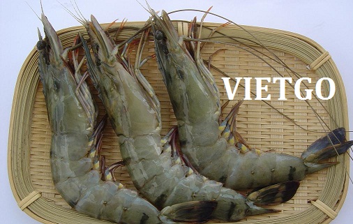 Cơ hội xuất khẩu 1 container 20ft tôm sú từ thương nhân người Belize