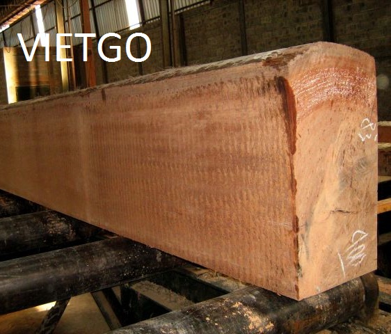 Đối tác người Maldives đang cần mua thử 1 container 20ft gỗ dầu hoặc gỗ thông xẻ