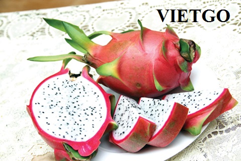 Thương nhân đến từ Ấn Độ cần tìm nguồn cung cho 70 tấn thanh long