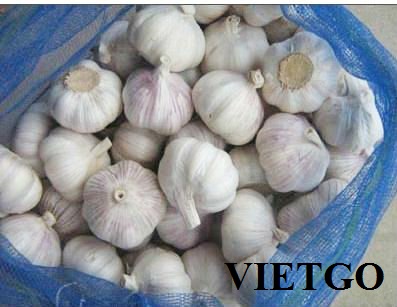 Thương nhân người Tanzania cần nhập khẩu 1 container 20ft tỏi