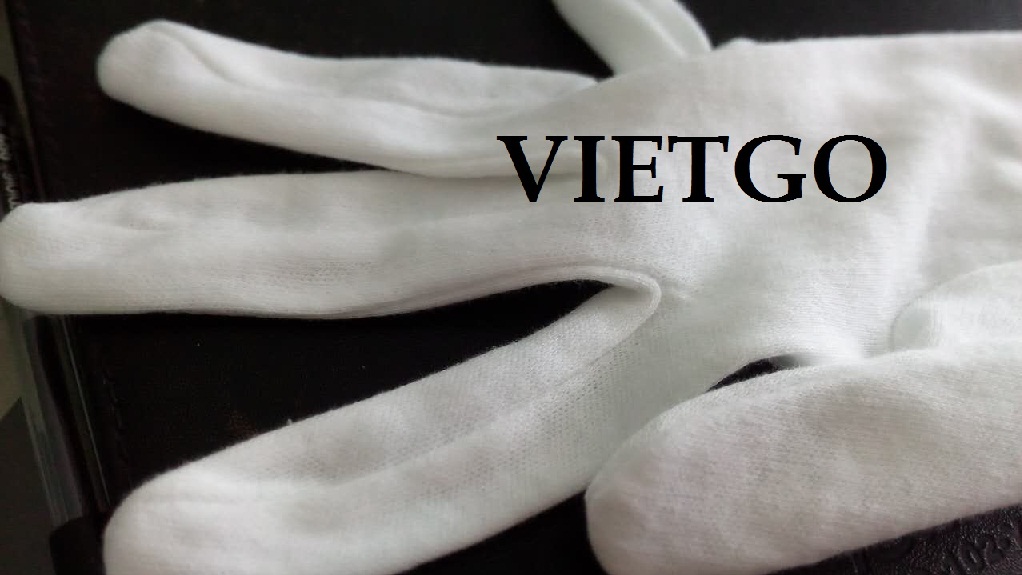 Cơ hội xuất khẩu 1 container 20ft găng tay cotton trắng đi Hong Kong