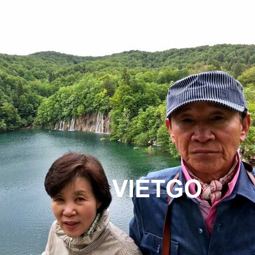 Thương nhân người Hàn Quốc đang cần mua gỗ keo, bạch đàn, thông hoặc cao su xẻ