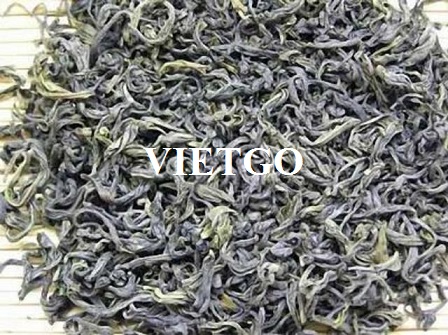Đối tác người Afghanistan cần nhập khẩu 1 container 20ft chè Shan Tuyết