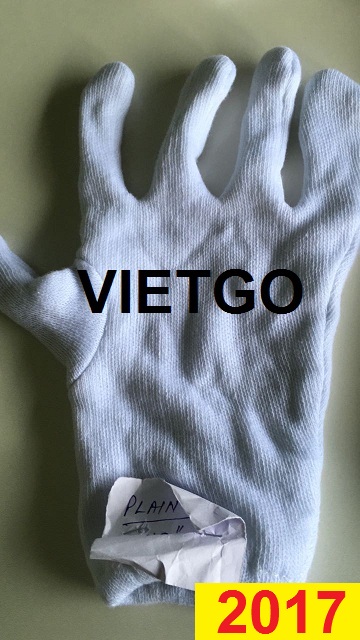 Đối tác Ấn Độ cần mua 35.000 đôi găng tay cotton trắng 1 năm