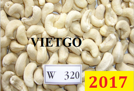 Cơ hội xuất khẩu 20 tấn hạt điều sang Trung Quốc