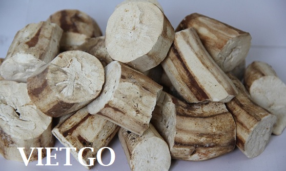 Cơ hội xuất khẩu 10.000-20.000 tấn sắn lát sang Trung Quốc hàng tháng