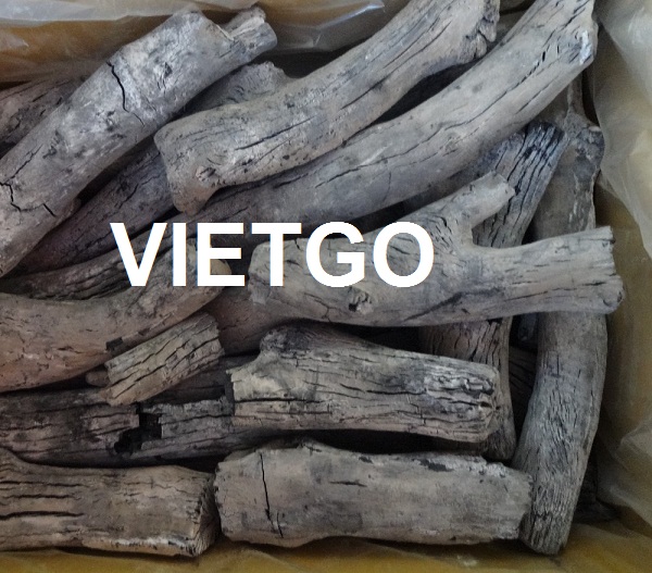 Cơ hội xuất khẩu 5 container 40HC than trắng mỗi tháng đi Hàn Quốc