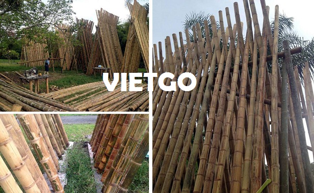 Đối tác người Pakistan đang có nhu cầu nhập khẩu 5.000 gậy tre