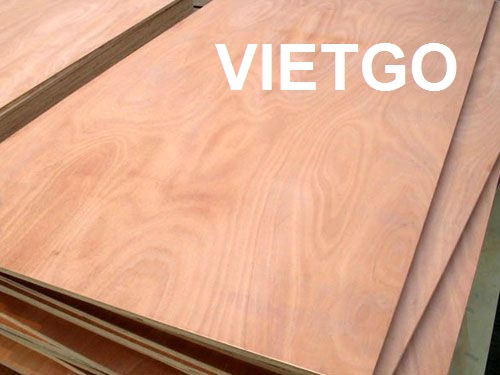 Cơ hội xuất khẩu 10 container 40ft gỗ dán mỗi tháng sang Hàn Quốc