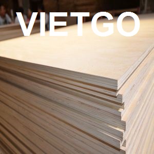 Đối tác người Iraq đang cần mua 1 container 40ft gỗ dán