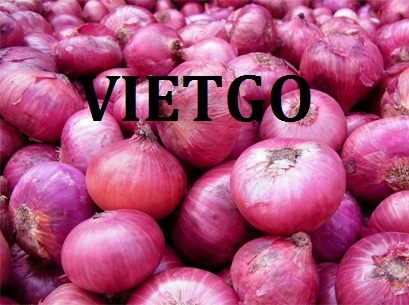 Cơ hội xuất khẩu 100 tấn hành sang Qatar