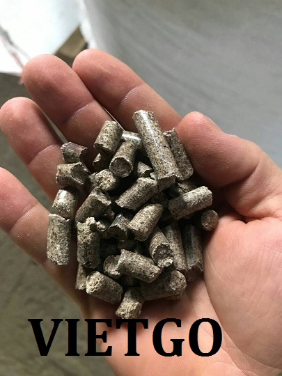 Cơ hội xuất khẩu 5000 tấn viên nén mùn cưa sang Hàn Quốc