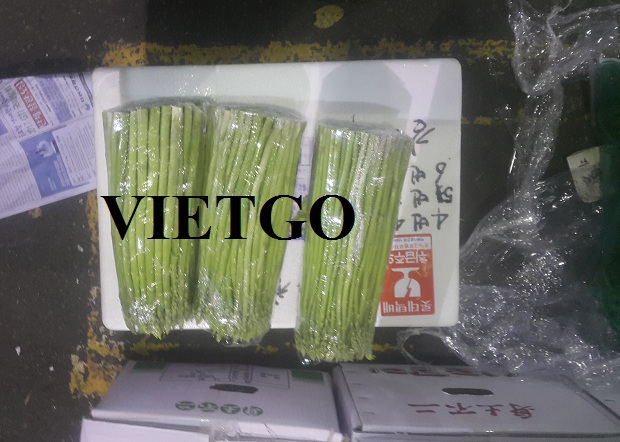 Cơ hội xuất khẩu 1 tấn măng tây xanh sang Hàn Quốc mỗi tuần