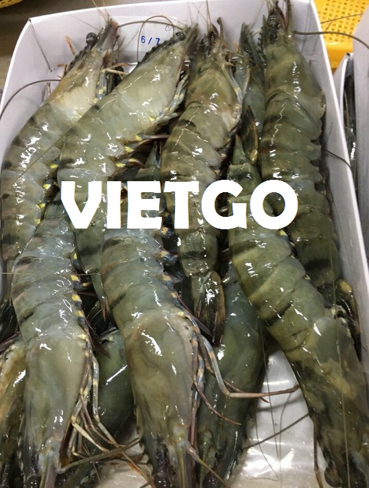 Cơ hội hợp tác với thương nhân người Anh cho sản phẩm tôm đông lạnh