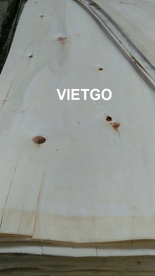 Đối tác người Singapore đang cần mua ván bóc lõi bạch đàn hoặc keo