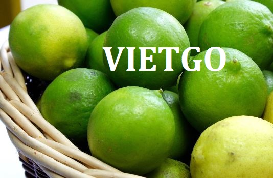 Đối tác đến từ Các Tiểu Vương Quốc Ả Rập thống nhất cần mua 1 container 40ft chanh