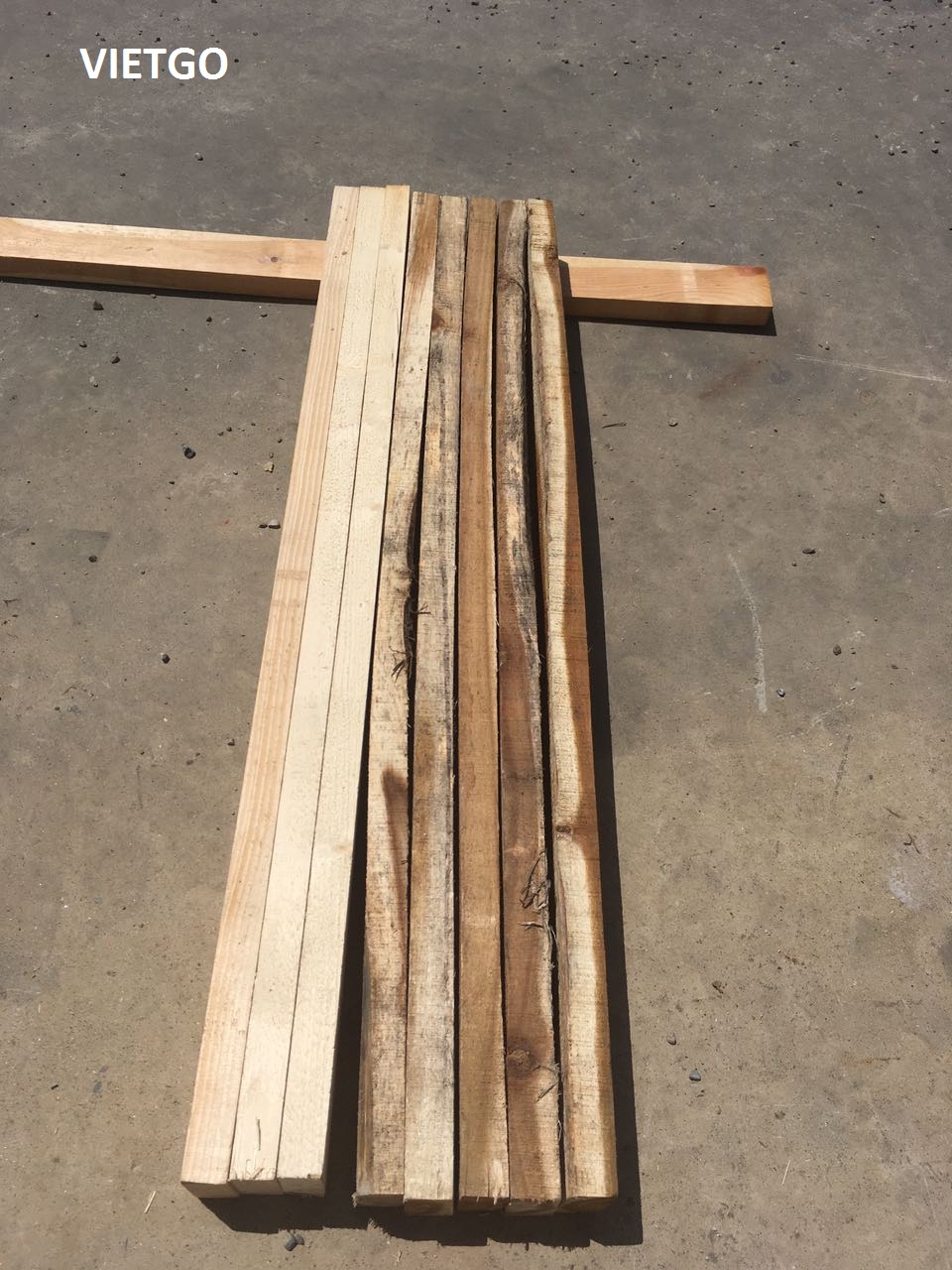 Khách hàng đến từ Colombia đang cần mua gỗ xẻ làm pallet