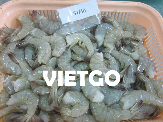 Cơ hội xuất khẩu tôm sang đất nước của những chú chuột túi