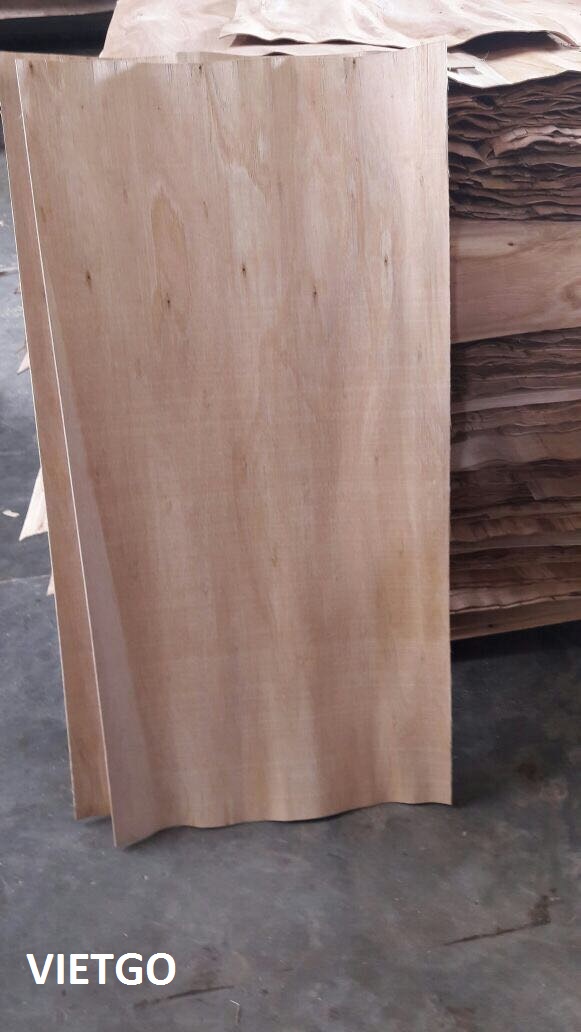 Thương nhân người Ấn Độ đang cần mua 1 container 40ft ván bóc lõi cao su